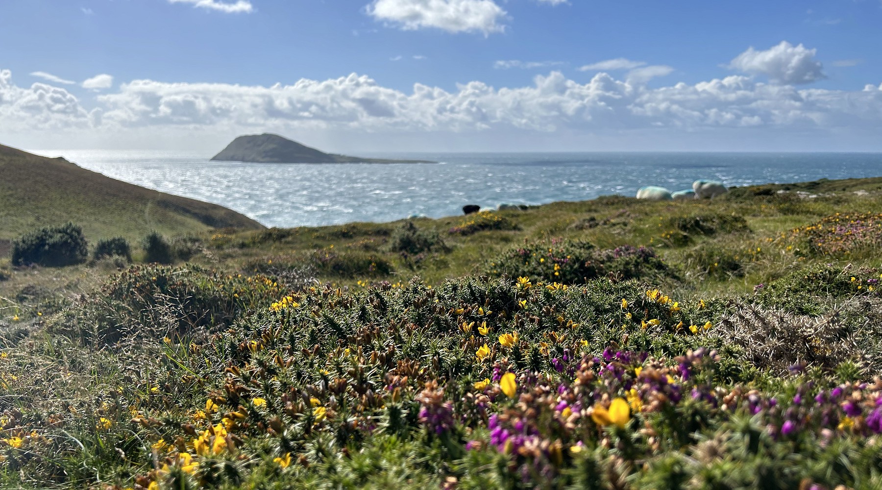 Diwrnod 12 - Aberdaron – Porth Meudwy