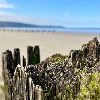 Golygfa hyfryd o'r traeth wrth gerdded Llwybr Cadfan