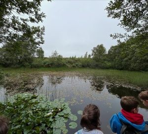 Ysgol Cefn Coch children looking at a pond